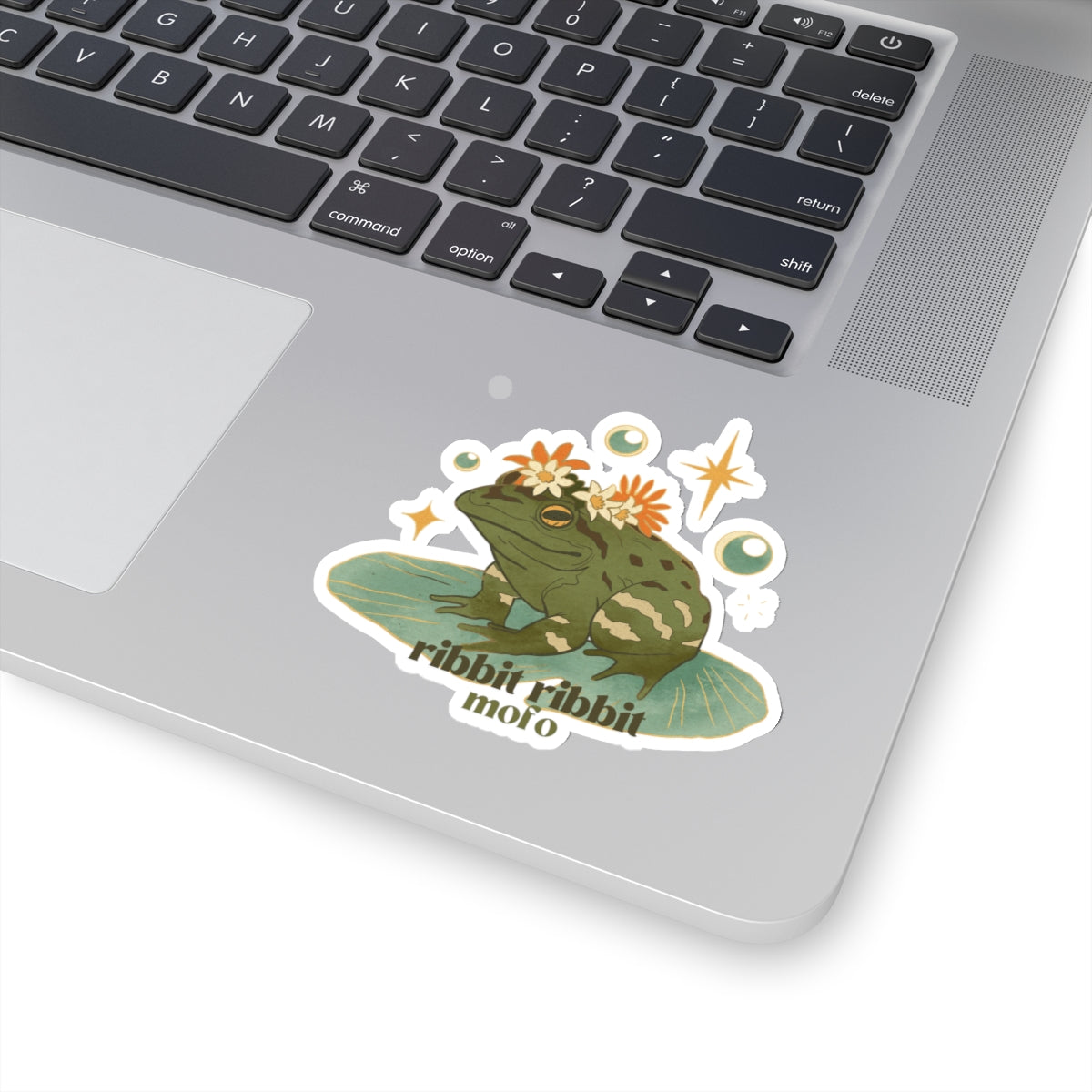 Ribbit Ribbit Mofo🦎✨ - Sticker